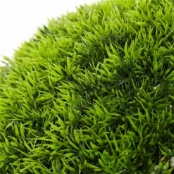 Budget ✔️ Grayson Lane 22-in Green Artificial Boxwood Plants 🎁 -GRAYSON LANE Sales 2022 330858314 AlternateImage2 l