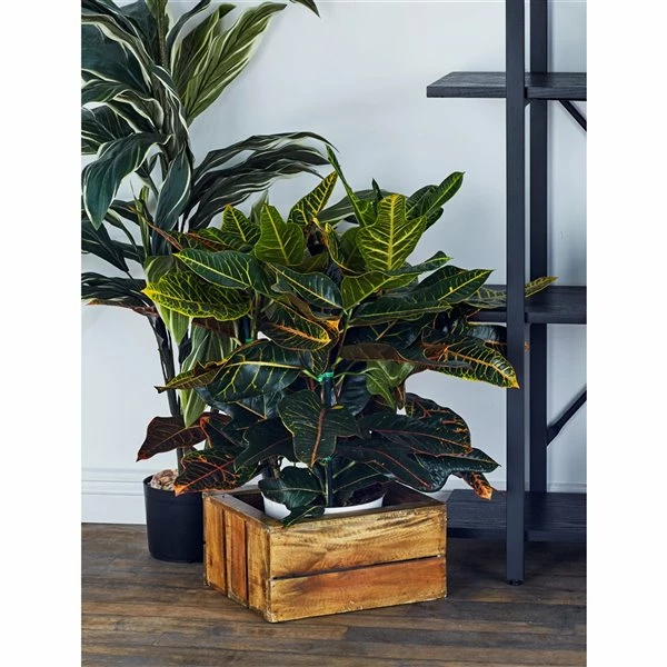 Best deal โ Grayson Lane Set of 3 21-in , 16-in , 13-in Farmhouse Storage Basket - Brown Wood ๐งจ 2 Best deal โ Grayson Lane Set of 3 21-in , 16-in , 13-in Farmhouse Storage Basket - Brown Wood ๐งจ - Image 2