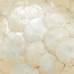 Promo 🔥 Grayson Lane Natural Brown Wood and Shell Decorative Bowl 🤩 -GRAYSON LANE Sales 2022 330859604 AlternateImage2 l