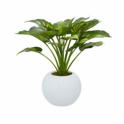 Buy ✨ Grayson Lane 23-in x 23-in Natural Artificial Foliage - Green Plastic and Glass ⌛ -GRAYSON LANE Sales 2022 330861414 AlternateImage4 l