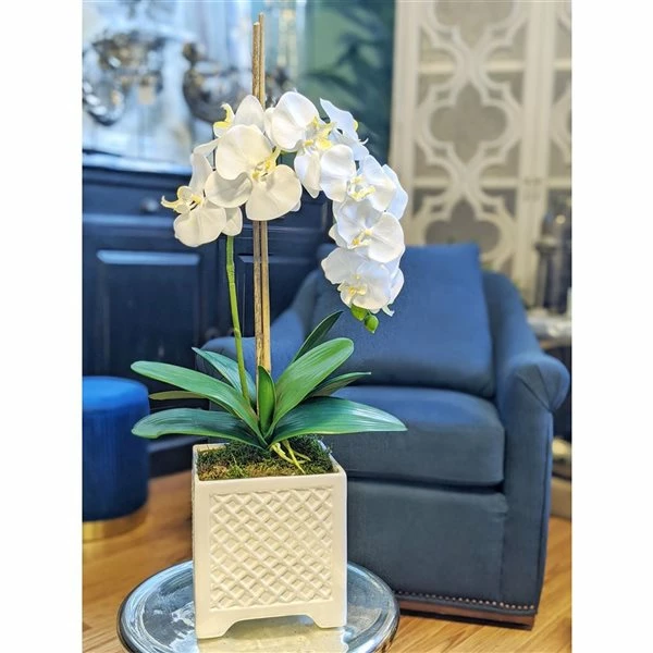 Budget 💯 Grayson Lane 7-in x 18-in Natural Artificial Foliage - White Plastic and Ceramic 👍 2 Budget 💯 Grayson Lane 7-in x 18-in Natural Artificial Foliage - White Plastic and Ceramic 👍 - Image 2