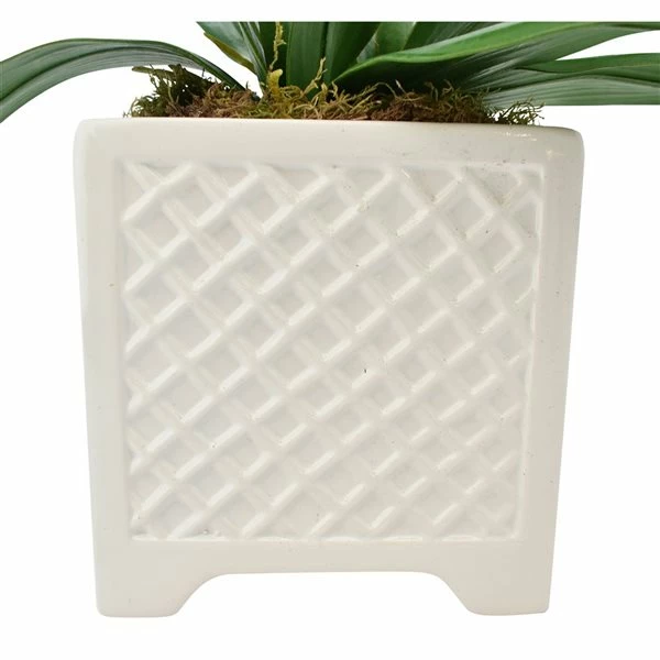 Budget 💯 Grayson Lane 7-in x 18-in Natural Artificial Foliage - White Plastic and Ceramic 👍 3 Budget 💯 Grayson Lane 7-in x 18-in Natural Artificial Foliage - White Plastic and Ceramic 👍 - Image 3