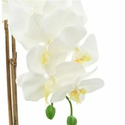 Budget 💯 Grayson Lane 7-in x 18-in Natural Artificial Foliage - White Plastic and Ceramic 👍 8 Budget 💯 Grayson Lane 7-in x 18-in Natural Artificial Foliage - White Plastic and Ceramic 👍 -GRAYSON LANE Sales 2022 330861578 AlternateImage3 l