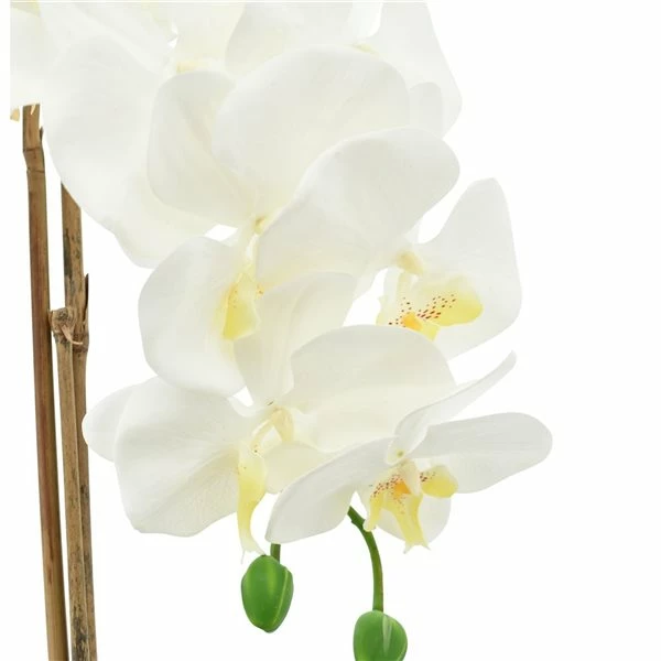 Budget 💯 Grayson Lane 7-in x 18-in Natural Artificial Foliage - White Plastic and Ceramic 👍 4 Budget 💯 Grayson Lane 7-in x 18-in Natural Artificial Foliage - White Plastic and Ceramic 👍 - Image 4