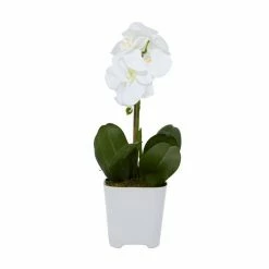 Budget 💯 Grayson Lane 7-in x 18-in Natural Artificial Foliage - White Plastic and Ceramic 👍 9 Budget 💯 Grayson Lane 7-in x 18-in Natural Artificial Foliage - White Plastic and Ceramic 👍 -GRAYSON LANE Sales 2022 330861578 AlternateImage4 l