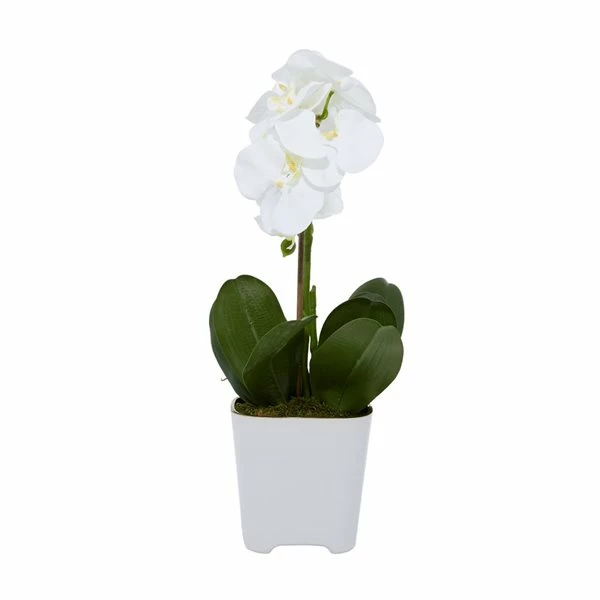 Budget 💯 Grayson Lane 7-in x 18-in Natural Artificial Foliage - White Plastic and Ceramic 👍 5 Budget 💯 Grayson Lane 7-in x 18-in Natural Artificial Foliage - White Plastic and Ceramic 👍 - Image 5