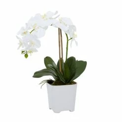 Budget 💯 Grayson Lane 7-in x 18-in Natural Artificial Foliage - White Plastic and Ceramic 👍