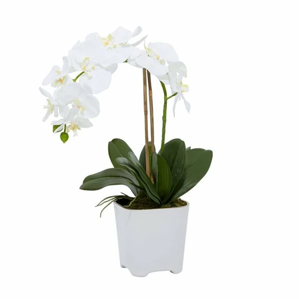 Budget 💯 Grayson Lane 7-in x 18-in Natural Artificial Foliage - White Plastic and Ceramic 👍 1 Budget 💯 Grayson Lane 7-in x 18-in Natural Artificial Foliage - White Plastic and Ceramic 👍