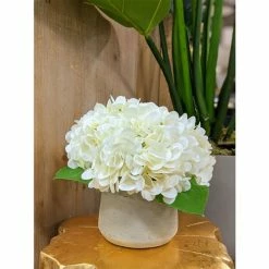 Budget ⌛ Grayson Lane 10-in x 10-in Natural Artificial Foliage - White Plastic and Ceramic 💯 -GRAYSON LANE Sales 2022 330861605 AlternateImage1 l