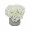 Budget ⌛ Grayson Lane 10-in x 10-in Natural Artificial Foliage - White Plastic and Ceramic 💯