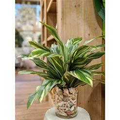 Cheap ✨ Grayson Lane 27-in x 19-in Natural Artificial Foliage - Green Plastic and Ceramic 👏 -GRAYSON LANE Sales 2022 330861668 AlternateImage1 l