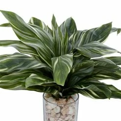 Cheap ✨ Grayson Lane 27-in x 19-in Natural Artificial Foliage - Green Plastic and Ceramic 👏 -GRAYSON LANE Sales 2022 330861668 AlternateImage2 l