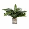 Cheap ✨ Grayson Lane 27-in x 19-in Natural Artificial Foliage - Green Plastic and Ceramic 👏