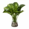 Promo 🔥 Grayson Lane 13-in x 14-in Natural Artificial Foliage - Green Plastic and Ceramic 😀