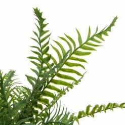 Best Sale ⌛ Grayson Lane 20-in x 17-in Natural Artificial Foliage - Green Plastic and Ceramic 👍 -GRAYSON LANE Sales 2022 330861714 AlternateImage3 l