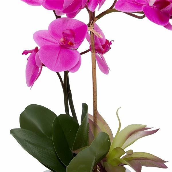 Brand new 😉 Grayson Lane 23-in x 28-in Natural Artificial Foliage - Pink Plastic and Ceramic 🔥 4 Brand new 😉 Grayson Lane 23-in x 28-in Natural Artificial Foliage - Pink Plastic and Ceramic 🔥 - Image 4