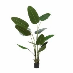 Outlet ✔️ Grayson Lane 69.50-in Green Artificial Bird of Paradise Plant ✔️ -GRAYSON LANE Sales 2022 330861971 AlternateImage4 l