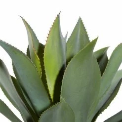 Deals 😀 Grayson Lane 59.50-in Green Artificial Agave Plant 🤩 -GRAYSON LANE Sales 2022 330862023 AlternateImage2 l