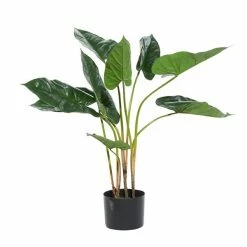 Deals ๐ฅฐ Grayson Lane 28-in Green Artificial Hyacinth Plant ๐ฅ 9 Deals ๐ฅฐ Grayson Lane 28-in Green Artificial Hyacinth Plant ๐ฅ -GRAYSON LANE Sales 2022 330862154 AlternateImage4 l