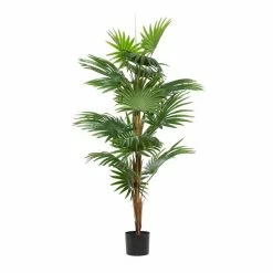 Budget 👏 Grayson Lane 64.60-in Green Artificial Palm Plant 😉 -GRAYSON LANE Sales 2022 330862170 AlternateImage4 l