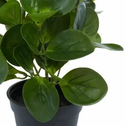 Best Sale 🎁 Grayson Lane 13.45-in Green Artificial Peperomia Plant ❤️ -GRAYSON LANE Sales 2022 330862347 AlternateImage2 l