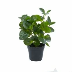 Best Sale 🎁 Grayson Lane 13.45-in Green Artificial Peperomia Plant ❤️