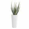 Cheapest 🔔 Grayson Lane 33.50-in Artificial Agave Plant 🛒