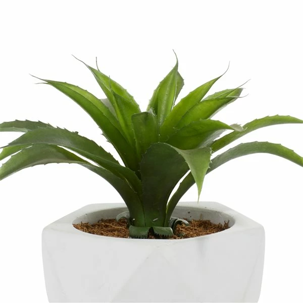 Best reviews of ✔️ Grayson Lane 9.75-in Artificial Dracaena Plant 🤩 3 Best reviews of ✔️ Grayson Lane 9.75-in Artificial Dracaena Plant 🤩 - Image 3