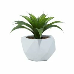 Best reviews of ✔️ Grayson Lane 9.75-in Artificial Dracaena Plant 🤩 9 Best reviews of ✔️ Grayson Lane 9.75-in Artificial Dracaena Plant 🤩 -GRAYSON LANE Sales 2022 330862590 AlternateImage4 l