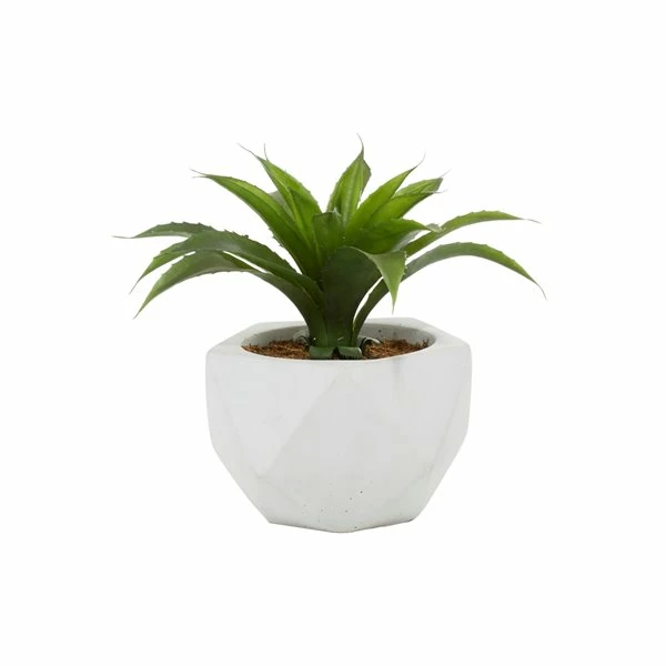 Best reviews of ✔️ Grayson Lane 9.75-in Artificial Dracaena Plant 🤩 1 Best reviews of ✔️ Grayson Lane 9.75-in Artificial Dracaena Plant 🤩