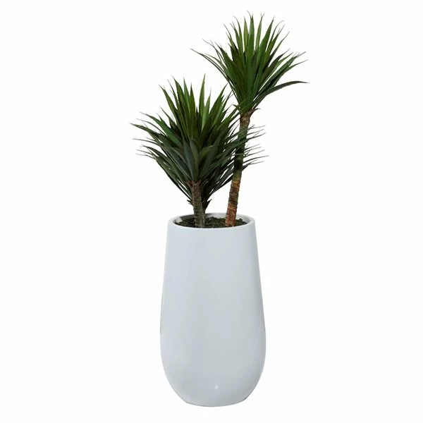 Wholesale 🔔 Grayson Lane 41.50-in Artificial Yucca Tree 🎁 5 Wholesale 🔔 Grayson Lane 41.50-in Artificial Yucca Tree 🎁 - Image 5