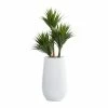 Wholesale 🔔 Grayson Lane 41.50-in Artificial Yucca Tree 🎁