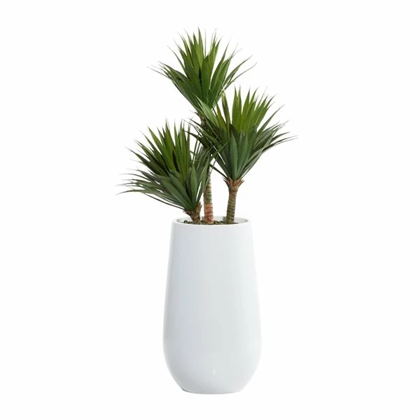 Wholesale 🔔 Grayson Lane 41.50-in Artificial Yucca Tree 🎁 1 Wholesale 🔔 Grayson Lane 41.50-in Artificial Yucca Tree 🎁