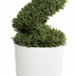 Hot Sale ❤️ Grayson Lane 60.50-in Artificial Boxwood Tree 🛒 -GRAYSON LANE Sales 2022 330862767 AlternateImage2 l