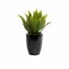 Hot Sale 🎉 Grayson Lane 21.55-in Artificial Dracaena Plant 🔥