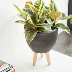 Outlet 😍 Grayson Lane 15-in x 16-in Contemporary Grey Clay Planters - Set of 3 🤩 -GRAYSON LANE Sales 2022 330940804 AlternateImage3 l