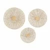 Budget 🛒 Grayson Lane Cream Dried Plant Material Coastal Style Wall Decor - Set of 3 ⌛