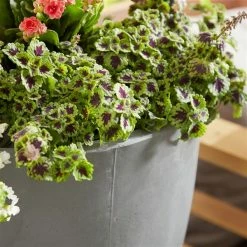 New ✨ Grayson Lane 13-in W x 29-in H Grey Clay Planter ⌛ -GRAYSON LANE Sales 2022 330941216 AlternateImage3 l