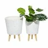 Discount 🧨 Grayson Lane 10-in W x 14.50-in H White Ceramic Planter - 2-Pack 😉