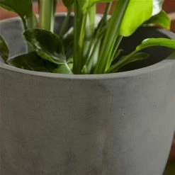 Promo 🔔 Grayson Lane 16-in W x 32-in H Black Clay Planter 🥰 -GRAYSON LANE Sales 2022 330941398 AlternateImage3 l