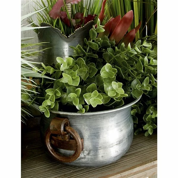 Discount ✔️ Grayson Lane 13-in W x 6-in H Grey Metal Planter - 3-Pack ✨ 3 Discount ✔️ Grayson Lane 13-in W x 6-in H Grey Metal Planter - 3-Pack ✨ - Image 3