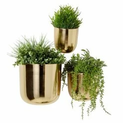 Brand new 😀 Grayson Lane 9-in W x 9-in H Gold Metal Hanging Planter - 3-Pack 🎉 9 Brand new 😀 Grayson Lane 9-in W x 9-in H Gold Metal Hanging Planter - 3-Pack 🎉 -GRAYSON LANE Sales 2022 330941529 AlternateImage5 l