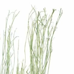 New 🔔 Grayson Lane 57-in Natural Multicoloured Foliage - Set of 3 👍 -GRAYSON LANE Sales 2022 330942233 AlternateImage2 l