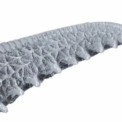 New ❤️ Grayson Lane 14-in H x 14-in W Coastal Resin Wall Accent 🧨 -GRAYSON LANE Sales 2022 330942278 AlternateImage5 l