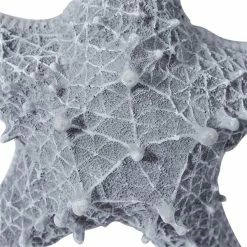 New ❤️ Grayson Lane 14-in H x 14-in W Coastal Resin Wall Accent 🧨 -GRAYSON LANE Sales 2022 330942278 AlternateImage6 l