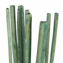 Discount 💯 Grayson Lane 57-in Multicoloured Natural Foliage - Set of 3 🛒 -GRAYSON LANE Sales 2022 330942330 AlternateImage2 l