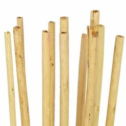 Discount 💯 Grayson Lane 57-in Multicoloured Natural Foliage - Set of 3 🛒 -GRAYSON LANE Sales 2022 330942330 AlternateImage3 l