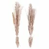 Flash Sale ⌛ Grayson Lane 57-in Light Brown Natural Foliage - Set of 2 🌟