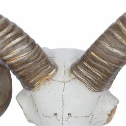 Cheap 🥰 Grayson Lane 12-in H x 14-in W Farmhouse Skull Resin Wall Accent 🌟 8 Cheap 🥰 Grayson Lane 12-in H x 14-in W Farmhouse Skull Resin Wall Accent 🌟 -GRAYSON LANE Sales 2022 330942635 AlternateImage6 l