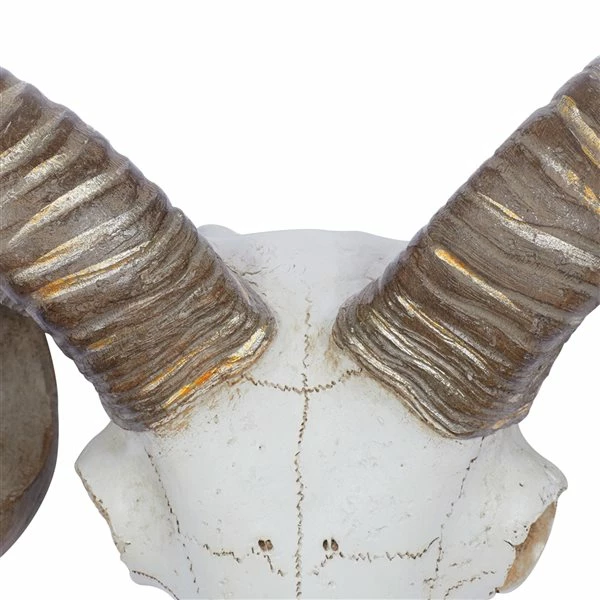 Cheap 🥰 Grayson Lane 12-in H x 14-in W Farmhouse Skull Resin Wall Accent 🌟 4 Cheap 🥰 Grayson Lane 12-in H x 14-in W Farmhouse Skull Resin Wall Accent 🌟 - Image 4